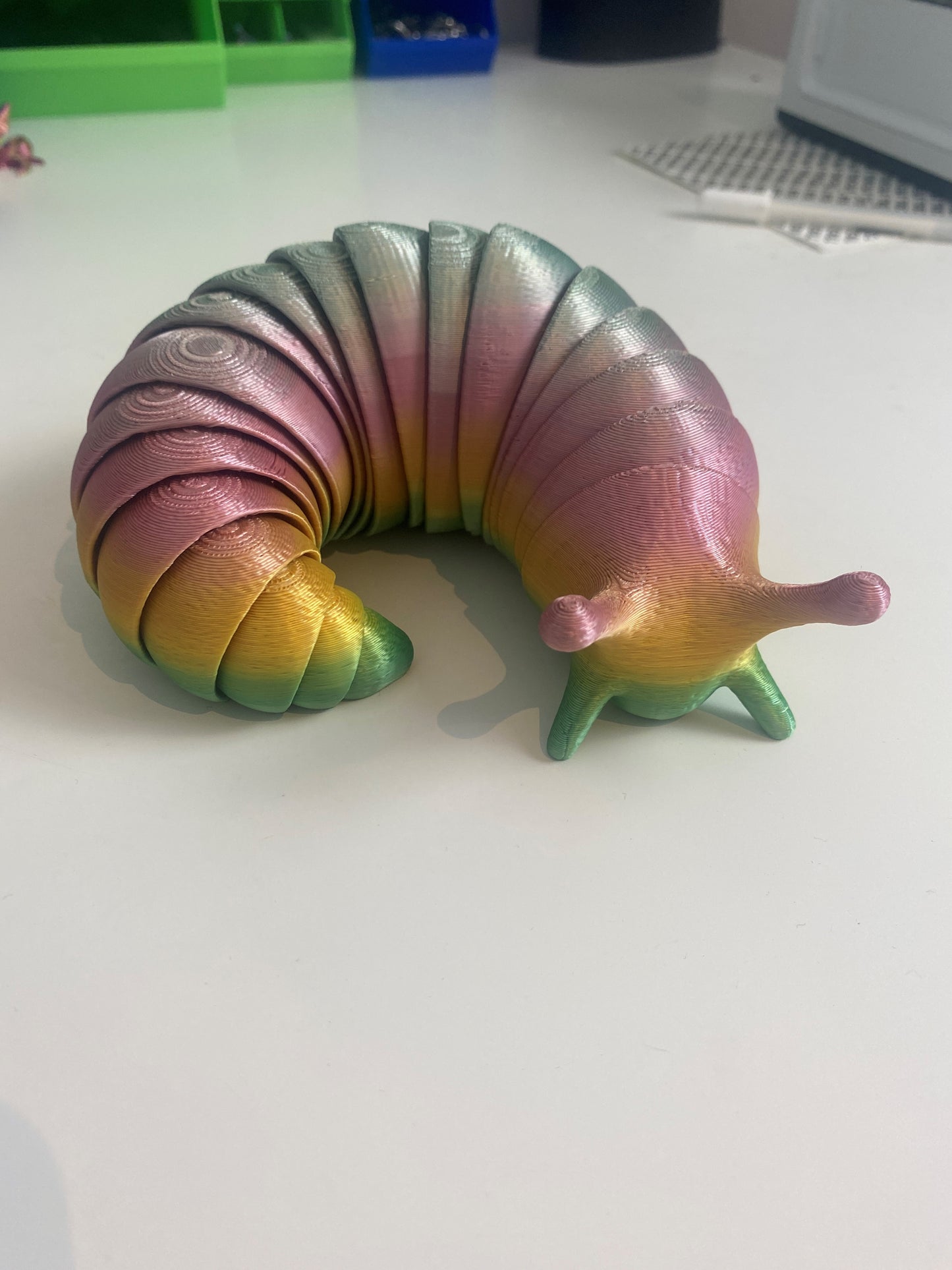 Flexible Rainbow Slug [UNIQUE 1-OF-1]